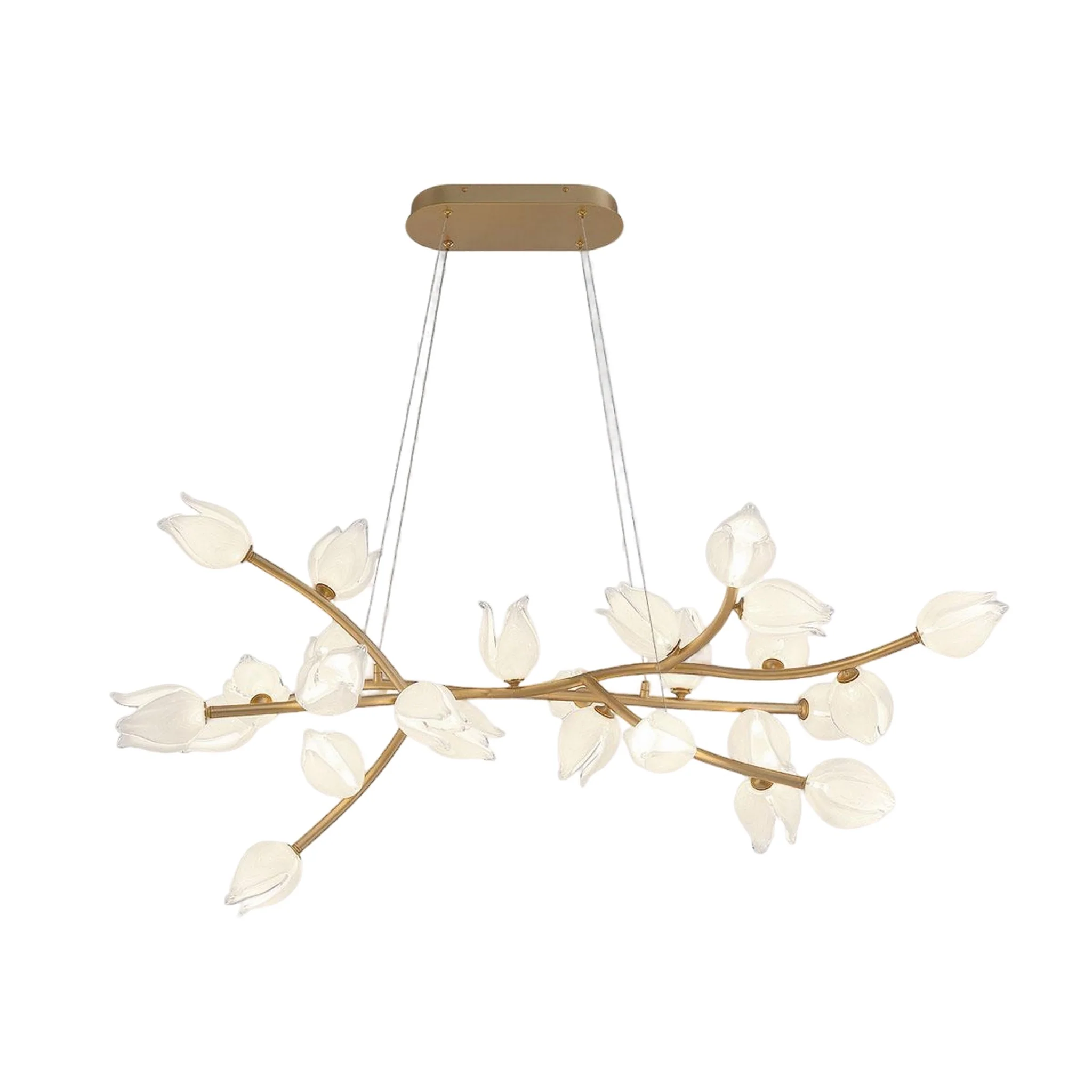 BELLUNO OVAL LED CHANDELIER (MULTIPLE SIZES)