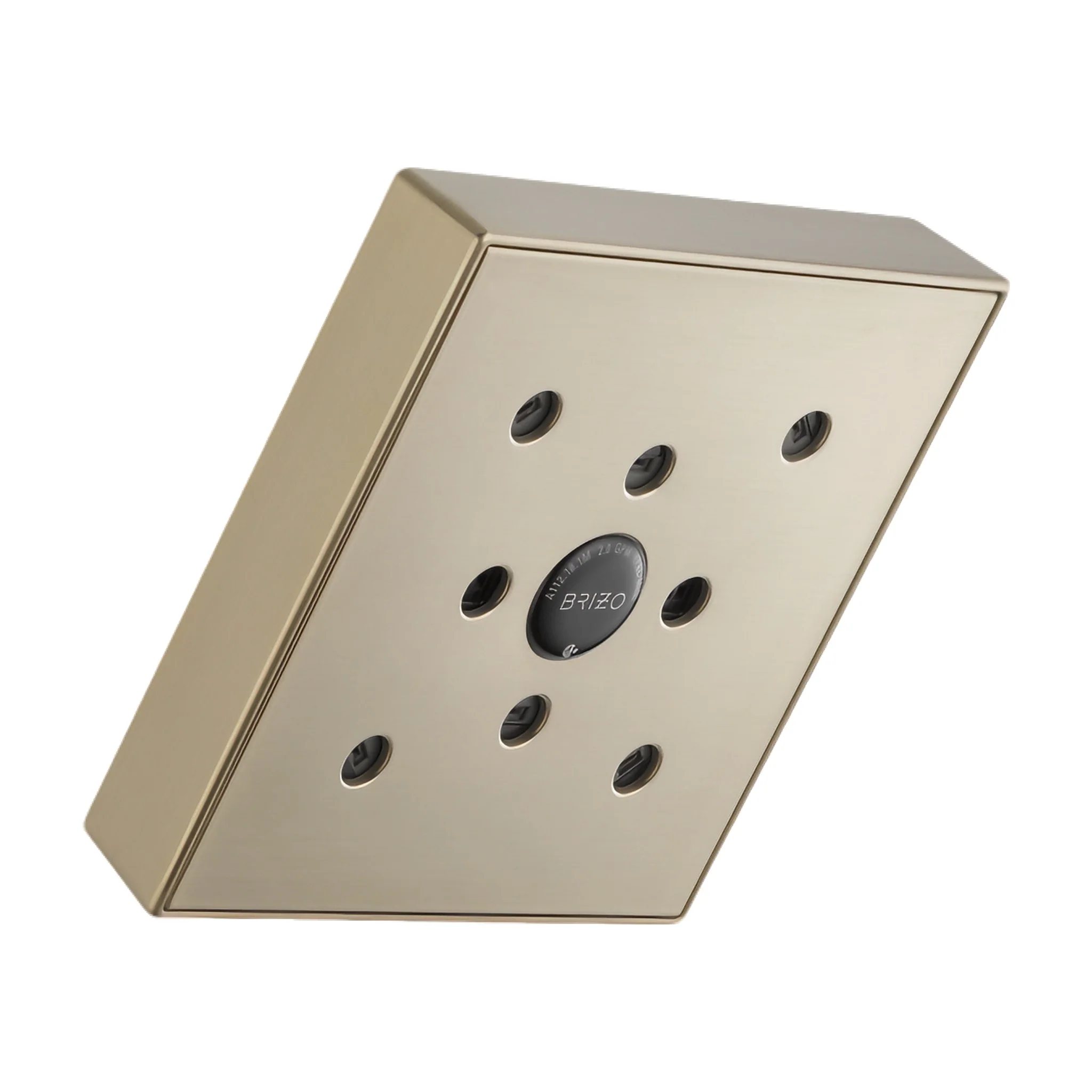 ESSENTIAL™ SINGLE FUNCTION SHOWERHEAD - Image 2