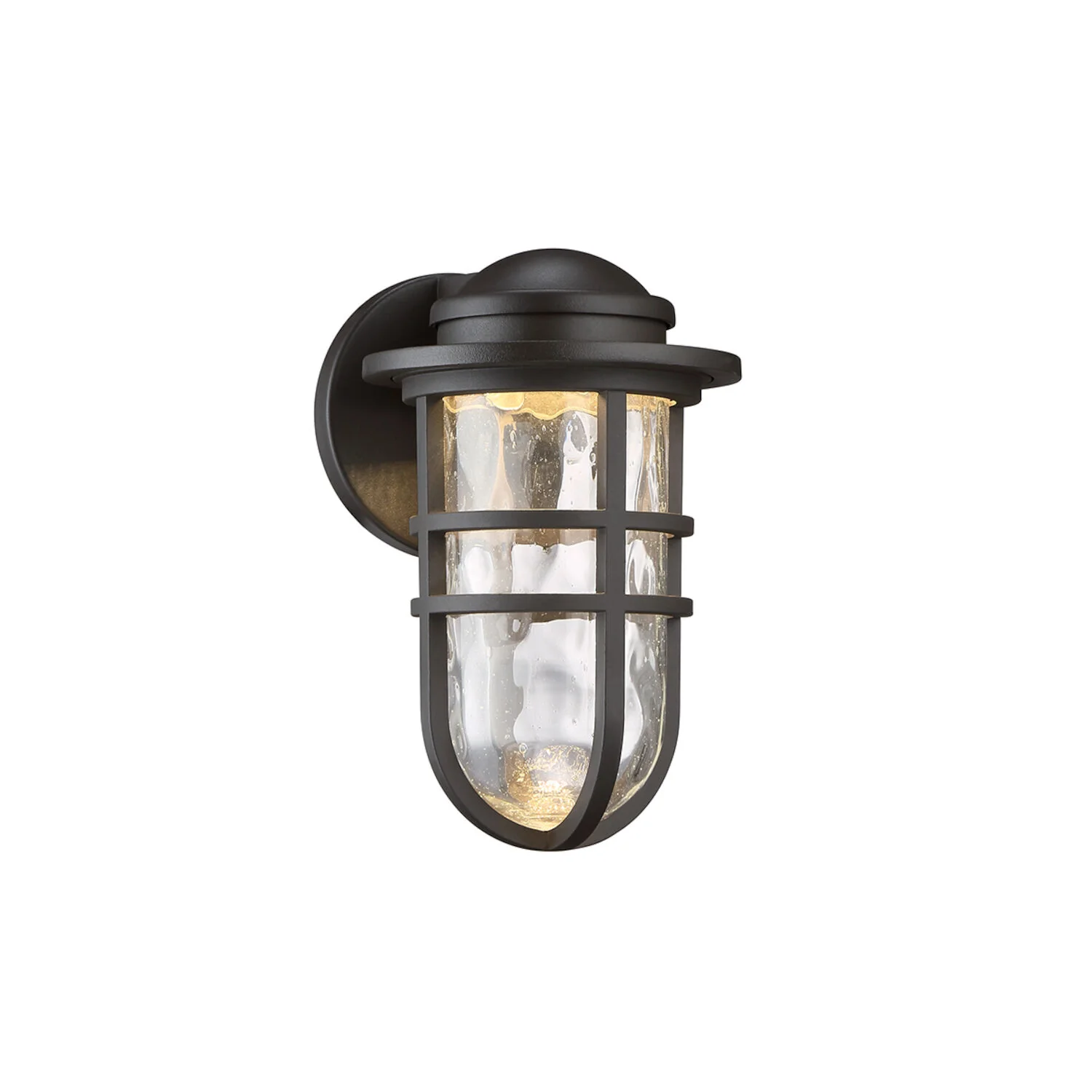 STEAMPUNK 9-INCH 3000K LED INDOOR AND OUTDOOR WALL LIGHT