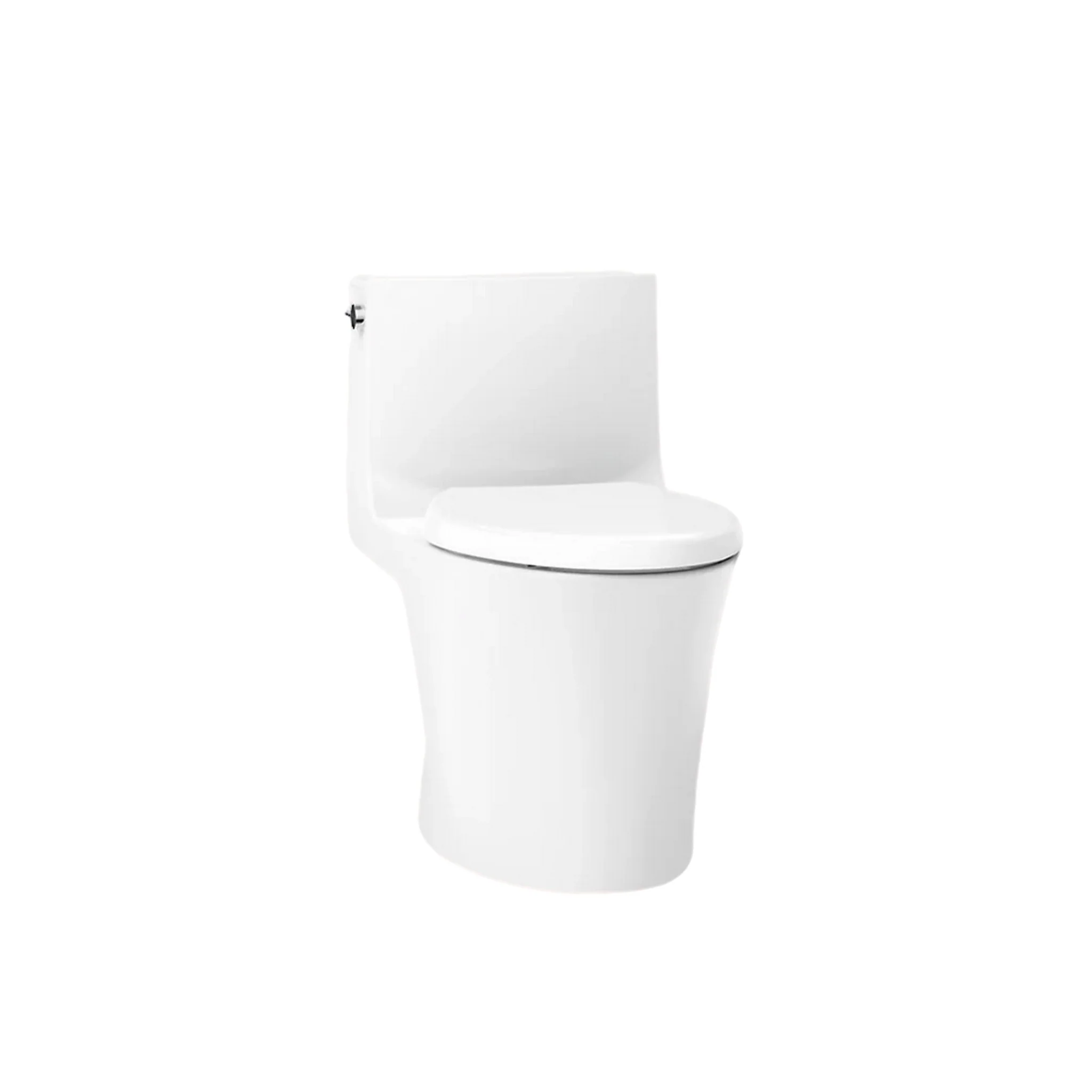 VEIL ONE-PIECE ELONGATED TOILET WITH SKIRTED TRAPWAY AND DUAL-FLUSH